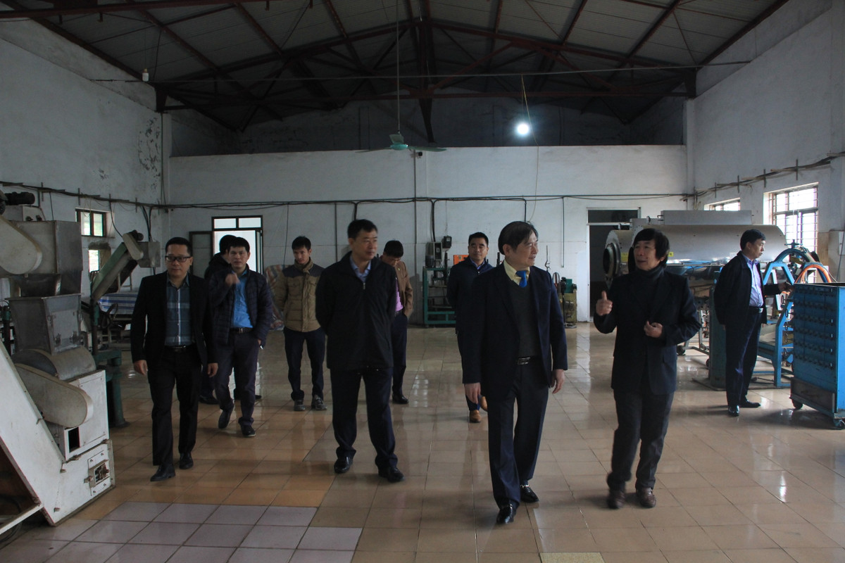 Đoàn công tác VUSTA thăm khu sản xuất, chế biến chè.