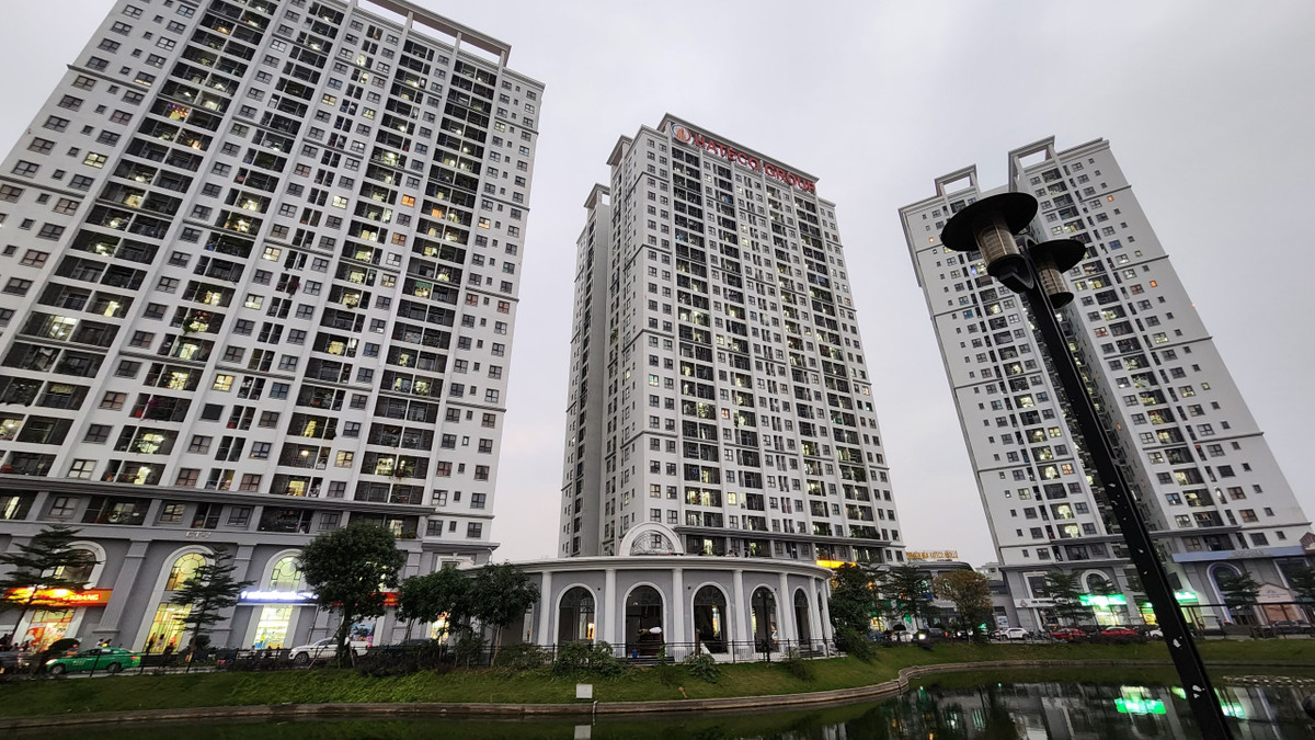 Tìm hiểu của PV Báo Tri thức và Cuộc sống, sau khi hoàn tất xây dựng công trình trái phép trên đất cây xanh tại Hateco Apollo được Hateco Group cho Công ty CP Thương mại và Phát triển thương hiệu Quốc tế thuê lại để kinh doanh nhà hàng, cà phê. Thời hạn thuê 10 năm, giá thời điểm cho thuê nhà năm đầu tiên là 90 triệu đồng/tháng, giá thuê được điều chỉnh qua các năm tiếp theo.