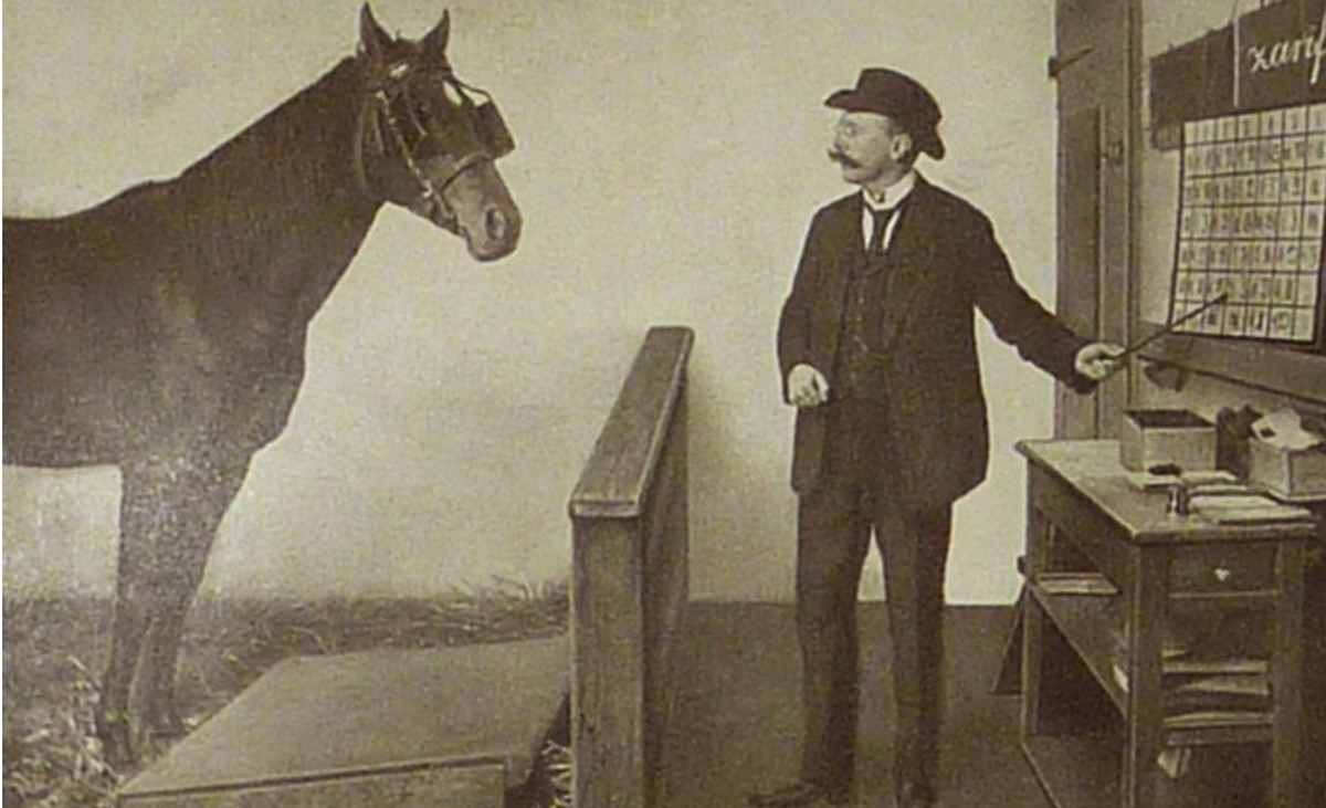 Su that ve Hans- Chu ngua thien tai biet doc va dem