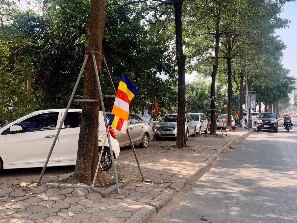 Dọc tuyến phố Thượng Đình (quận Thanh Xuân, Hà Nội), ô tô nằm la liệt trên vỉa hè. Dù bề mặt vỉa hè đã bị xuống cấp, lồi lõm.