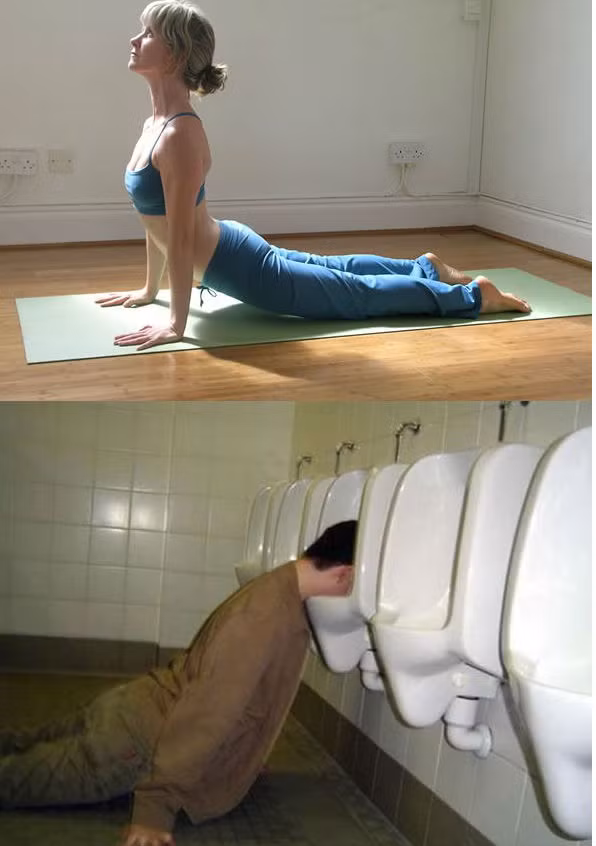 Tư thế rắn hổ mang (Cobra pose) nhẹ nhàng, đẹp mắt (ảnh trên). Tuy nhiên, động tác bị “biến tướng” khi người thanh niên say rượu (ảnh dưới) úp mặt vào bồn cầu ngay trong nhà vệ sinh.
