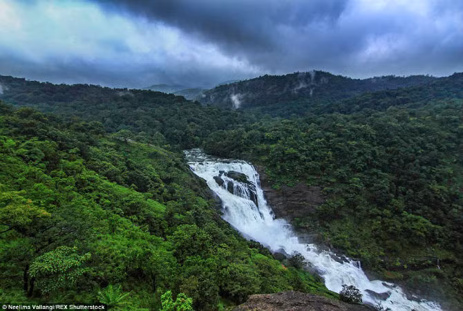 Dòng sông Kumaradhara dường như chia đôi khu rừng rậm rạp.