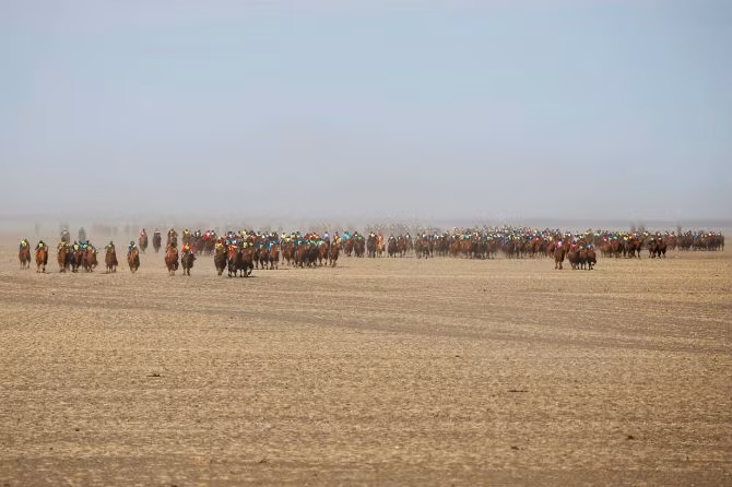 Kỷ lục Guinness Thế giới công nhận cuộc đua lạc đà ở Mông Cổ là cuộc đua lạc đà lớn nhất thế giới, thu hút 1.108 người tham gia từ khắp Mông Cổ cho tới vùng ngoại ô Dalanzadgad ở tỉnh Umnugovi.