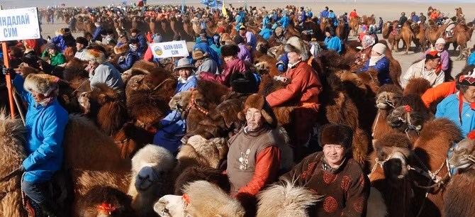 Người dân Mông Cổ mặc trang phục truyền thống chờ xem cảnh lạc đà diễu hành.