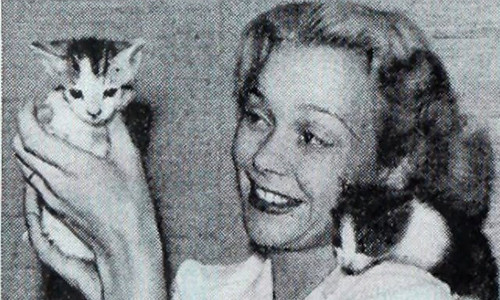 4. Những người yêu mèo thường thông minh hơn. Một nghiên cứu năm 2014 với sự tham gia của 600 sinh viên chỉ ra rằng những người yêu chó năng động hơn so với nhóm đối tượng yêu mèo. Còn người yêu mèo có xu hướng sống nội tâm hơn, nhạy cảm hơn và không thích tuân theo các quy tắc nhất định.