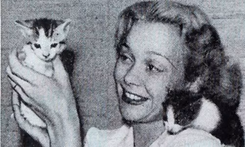 4. Những người yêu mèo thường thông minh hơn. Một nghiên cứu năm 2014 với sự tham gia của 600 sinh viên chỉ ra rằng những người yêu chó năng động hơn so với nhóm đối tượng yêu mèo. Còn người yêu mèo có xu hướng sống nội tâm hơn, nhạy cảm hơn và không thích tuân theo các quy tắc nhất định.