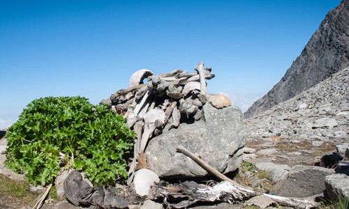 Hồ băng Roopkund thuộc đỉnh Himalaya nằm trên phần lãnh thổ của Ấn Độ là một trong số những địa điểm rùng rợn nhất thế giới. Nơi đây nổi tiếng với hàng trăm bộ xương người lộ ra mỗi khi lớp băng tan chảy. Cụ thể, năm 1942, khi băng tuyết tan, người ta tình cờ phát hiện ra hơn 200 bộ xương người ở một góc lòng hồ. Sau cùng, hơn 800 bộ xương người tại hồ nước này.