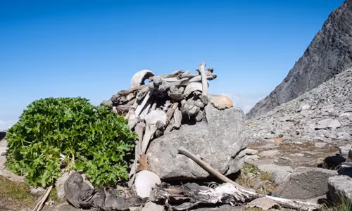 Hồ băng Roopkund thuộc đỉnh Himalaya nằm trên phần lãnh thổ của Ấn Độ là một trong số những địa điểm rùng rợn nhất thế giới. Nơi đây nổi tiếng với hàng trăm bộ xương người lộ ra mỗi khi lớp băng tan chảy. Cụ thể, năm 1942, khi băng tuyết tan, người ta tình cờ phát hiện ra hơn 200 bộ xương người ở một góc lòng hồ. Sau cùng, hơn 800 bộ xương người tại hồ nước này.