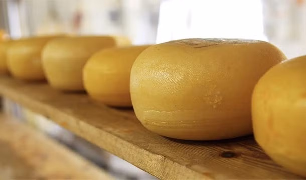 Vương Quốc Anh là nơi diễn ra lễ hội siêu độc đó là "lăn theo pho mát". Theo đó, lễ hội này được tổ chức thường niên vào dịp cuối tháng 5 tại ngọn đồi Cooper, thuộc vùng ngoại ô của Brockworth, Gloucestershire. Miếng pho mát giả làm từ bọt biển được đặt trong thùng gỗ rồi được đẩy xuống sườn đồi. Những người tham gia phải chạy từ trên đỉnh xuống thật nhanh sao cho bắt kịp miếng pho mát.