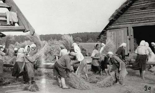 Nụ cười rạng rỡ của những người nông dân trong mùa thu hoạch.