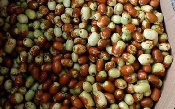 Bất chấp chúng có nguồn gốc từ Trung Quốc, nhiều người vẫn mua về ăn vì công dụng "thần dược".