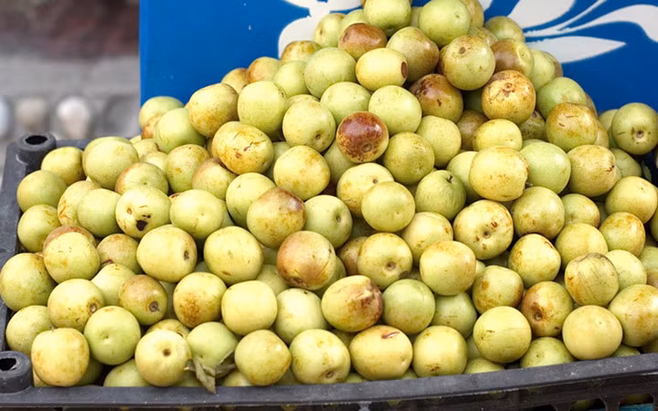 Vị chuyên gia này cho rằng, người tiêu dùng nên cẩn trọng, mua ở những nơi có nguồn gốc rõ ràng. Bởi hiện cũng chưa có gì để chứng minh đây là loại quả sạch, an toàn.