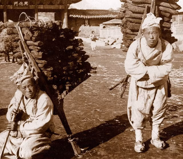 Hai người đàn ông vác trên vai bó củi lớn - thành quả của một ngày vào rừng đốn củi vất vả.