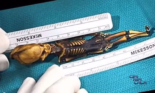 Nhung bo hai cot ky bi la lung nhat lich su