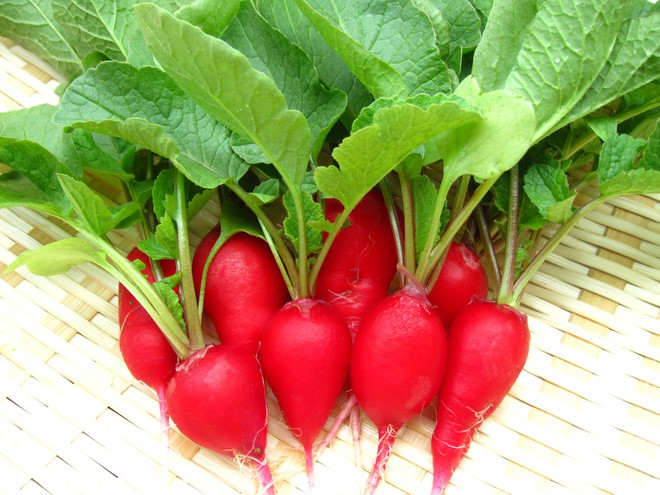 Củ cải đỏ: Đây là món ăn chứa hợp chất nitrat và sắc tố, giúp cơ thể dễ dàng chuyển oxy đến các cơ bắp làm co cơ, hạ huyết áp, chống oxy hóa tốt. Nghiên cứu cho thấy rằng ăn trước khi tập thể dục có thể cải thiện hiệu suất vận động, đồng thời ăn sau khi vận động giúp hồi phục sức khỏe nhanh chóng.