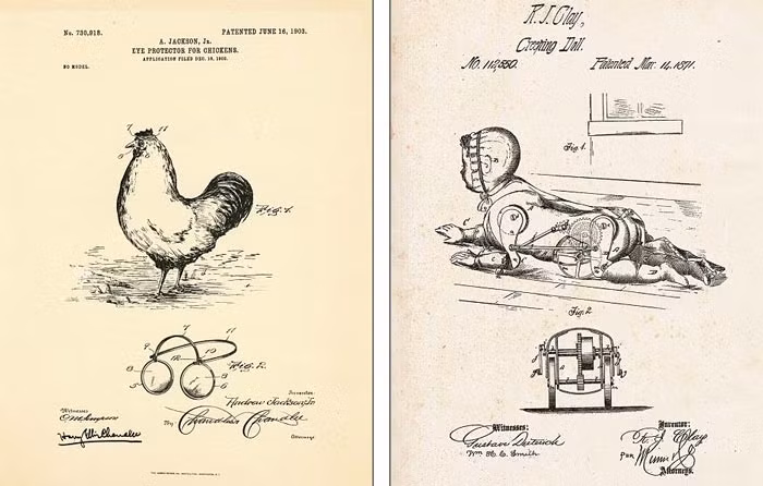 Sáng chế kính cho gà (trái) và búp bê dây cót, có thể bò trên sàn nhà như trẻ nhỏ.