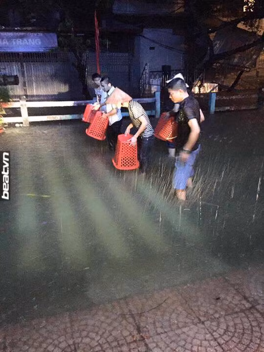 Ở một số vùng ven đô, khi mưa đã ngớt, người dân trong các khu xóm lại tranh thủ mang xô, chậu, rổ rá đi bắt cá. Cảnh tượng này dường như đã trở nên quá quen thuộc, mùa mưa bão nào cũng có và nó thể hiện sự ung dung, bình thản, biết cách tận hưởng những điều thú vị của một bộ phận người dân trong thời điểm mưa bão, nhiều khó khăn đang ập đến.