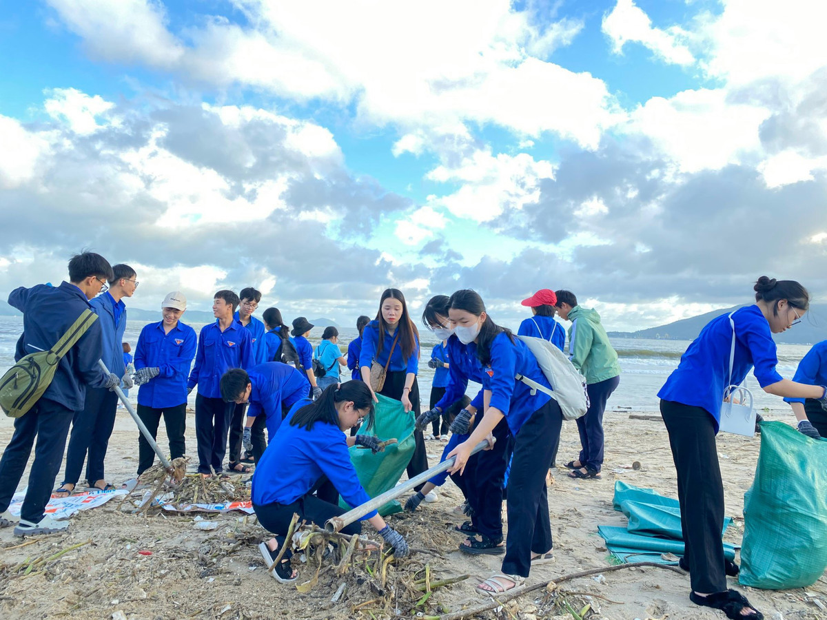 Nhiều nhất là các loại cành cây, bèo, lục bình...