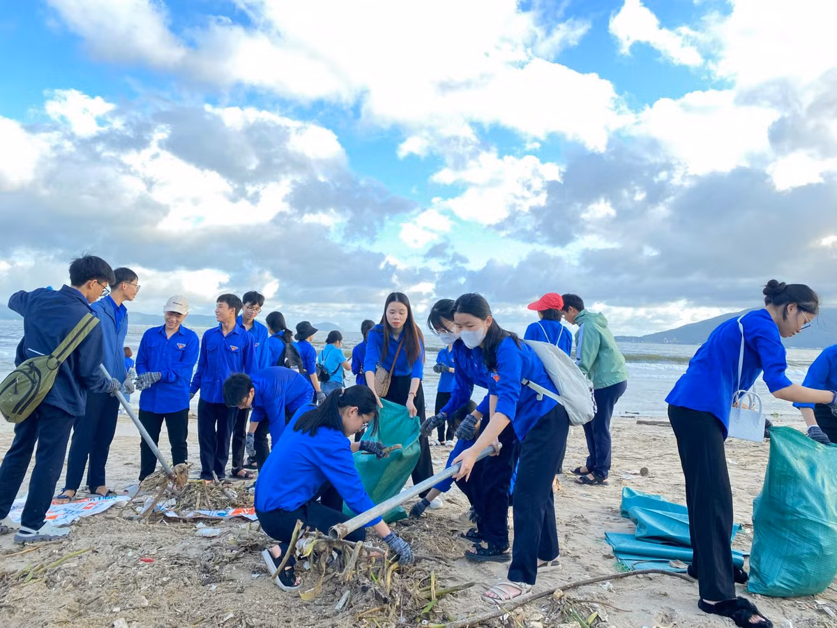 Nhiều nhất là các loại cành cây, bèo, lục bình...