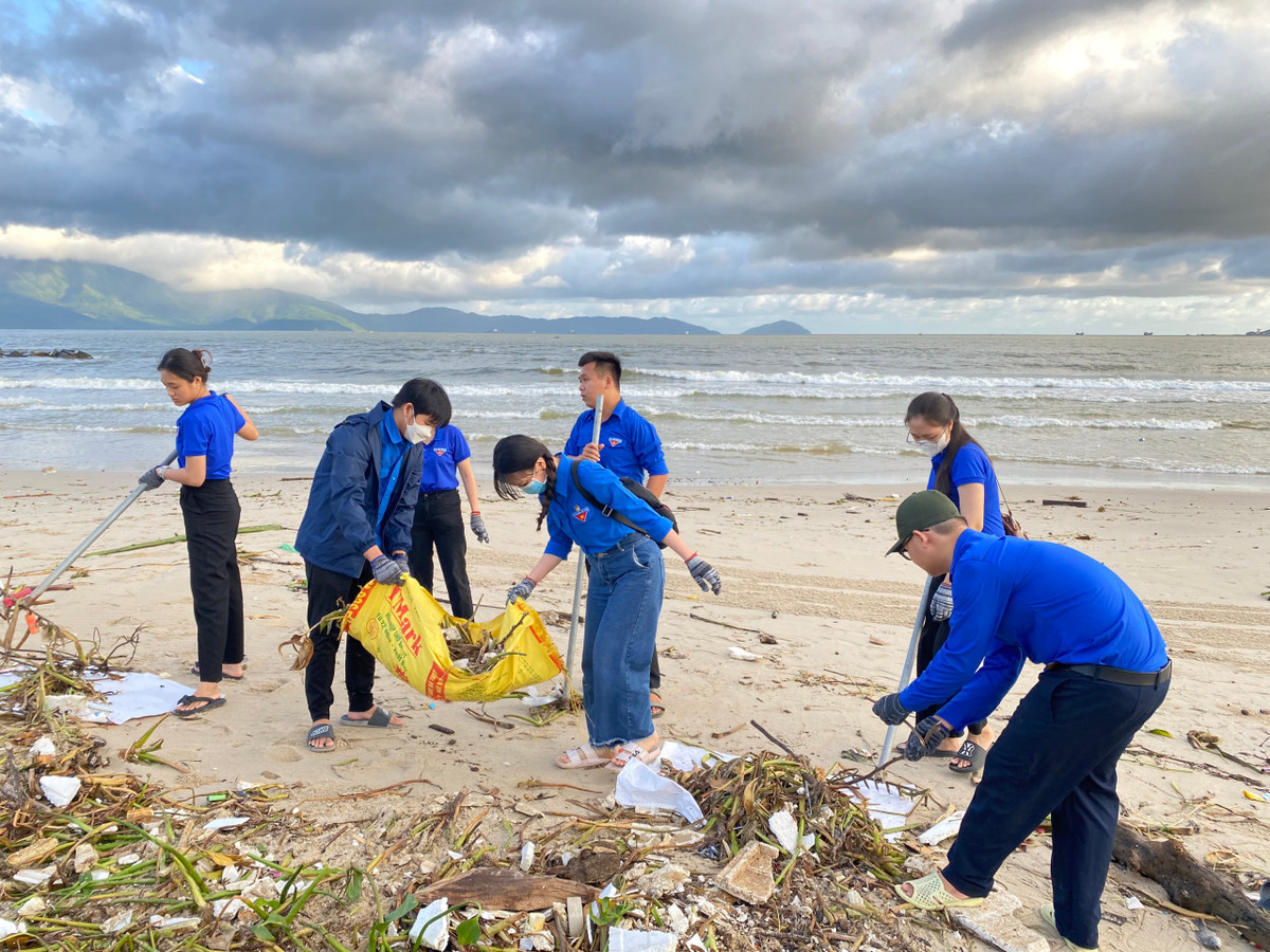 Trước đó, các đoàn viên thanh niên cũng đã ra quân dọn vệ sinh môi trường tại các bãi biển du lịch khu vực quận Ngũ Hành Sơn và Sơn Trà.