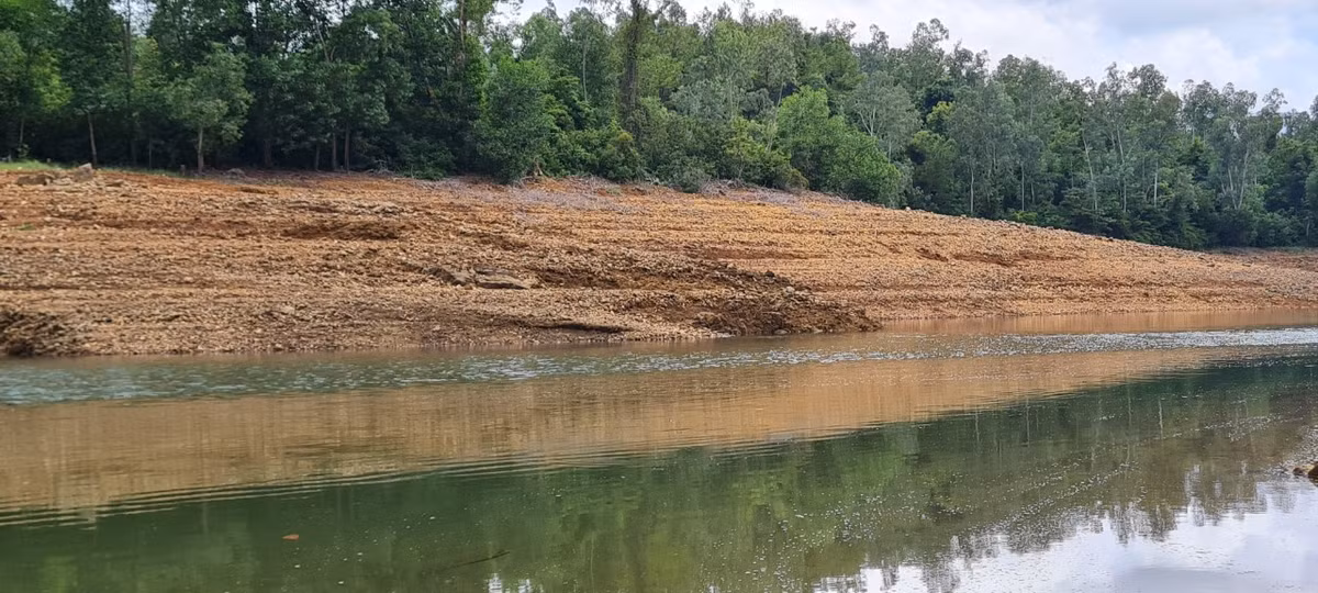Được bao quanh bởi núi rừng hùng vĩ nên không khí ở hồ Phú Ninh hết sức trong lành, tràn ngập hơi thở của thiên nhiên.