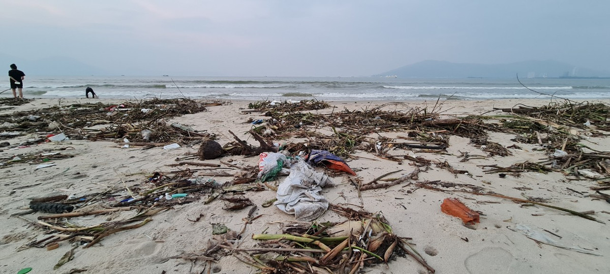 Những ngày qua, lực lượng chức năng đã huy động người và phương tiện thu gom rác dạt vào bãi biển.
