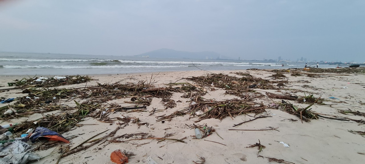 Bãi biển nhếch nhác nên càng vắng bóng người dân và du khách dạo chơi.