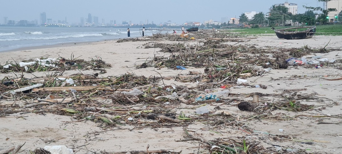 Các loại cành cây, bèo, lục bình, rác thải nhựa, bao nilon, ...dạt vào bãi cát.