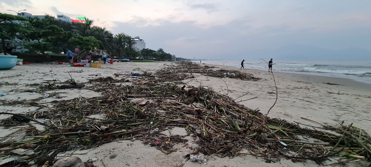 Nhiều đợt mưa lớn liên tiếp vào giữa tháng 10 khiến nước biển dâng cao. Thêm vào đó, nước từ đất liền đổ ra mang theo đủ loại rác.