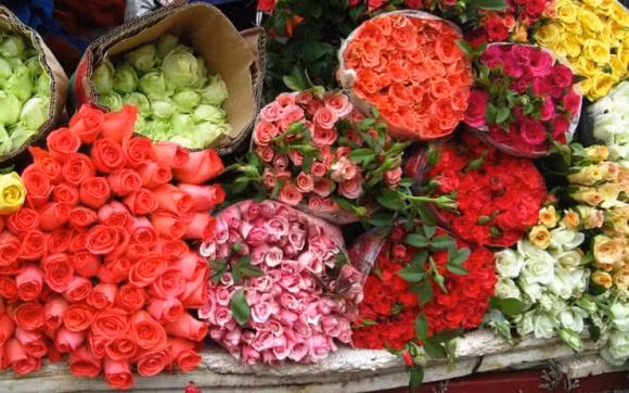 Hoa cung ngay ram nen cam 3 hay 5 bong de hut tai loc?-Hinh-3