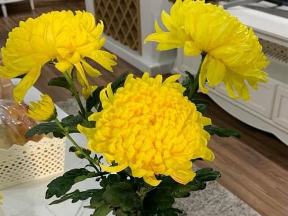 Hoa cung ngay ram nen cam 3 hay 5 bong de hut tai loc?-Hinh-2