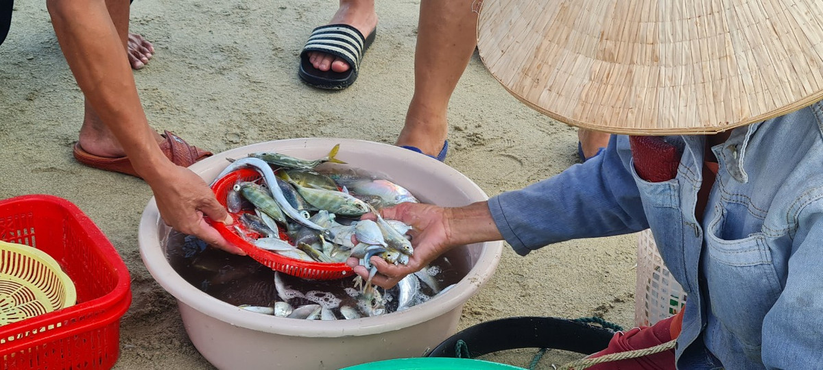 Ngư dân thường bán cá ngay khi vừa vớt lên, tạo nên một chợ hải sản nhộn nhịp ngay trên bãi biển Mân Thái.