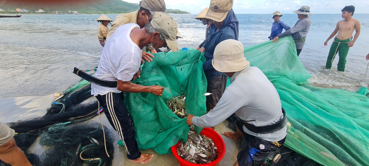 Trên bờ, nhiều người đã chuẩn bị sẵn quang gánh, thúng, sọt để đựng mẻ cá kéo lên.