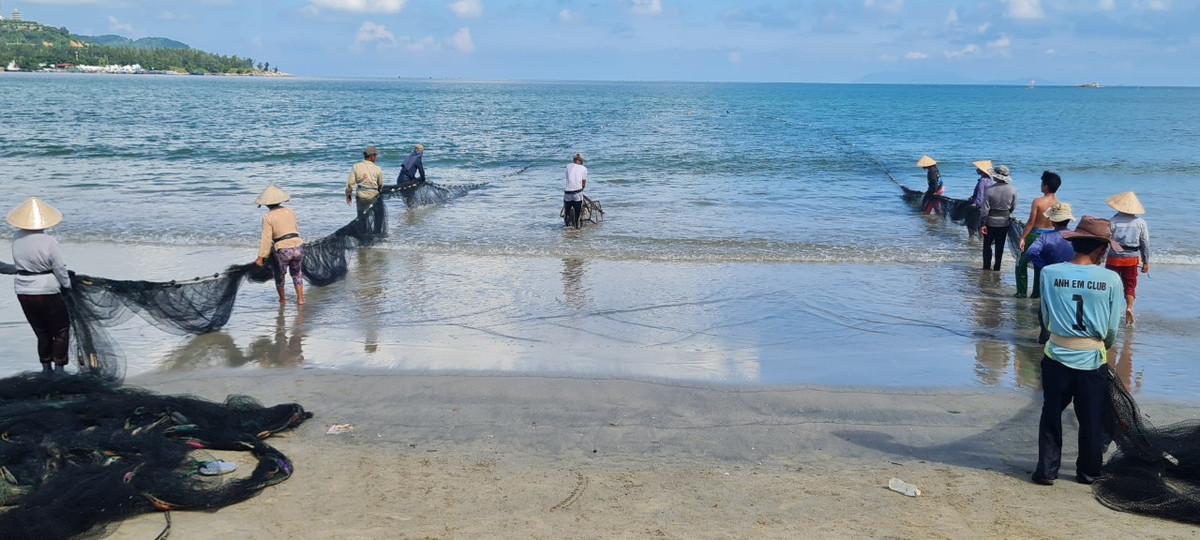 "Vòng vây" của lưới cứ thế hẹp dần, hẹp dần.