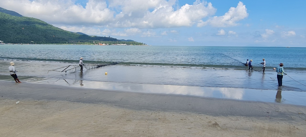 Mỗi đợt kéo lưới mất khoảng 2 tiếng, bao gồm việc chèo ghe thúng ra biển thả lưới.