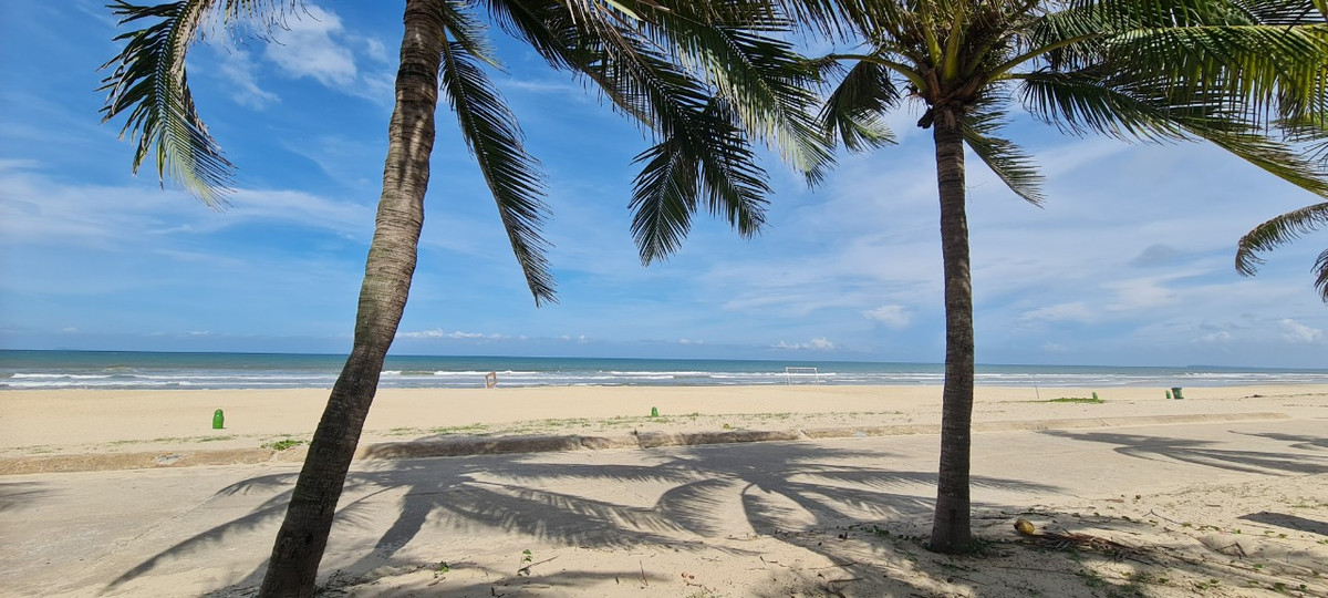 Hàng dừa xanh rì rào trong gió.