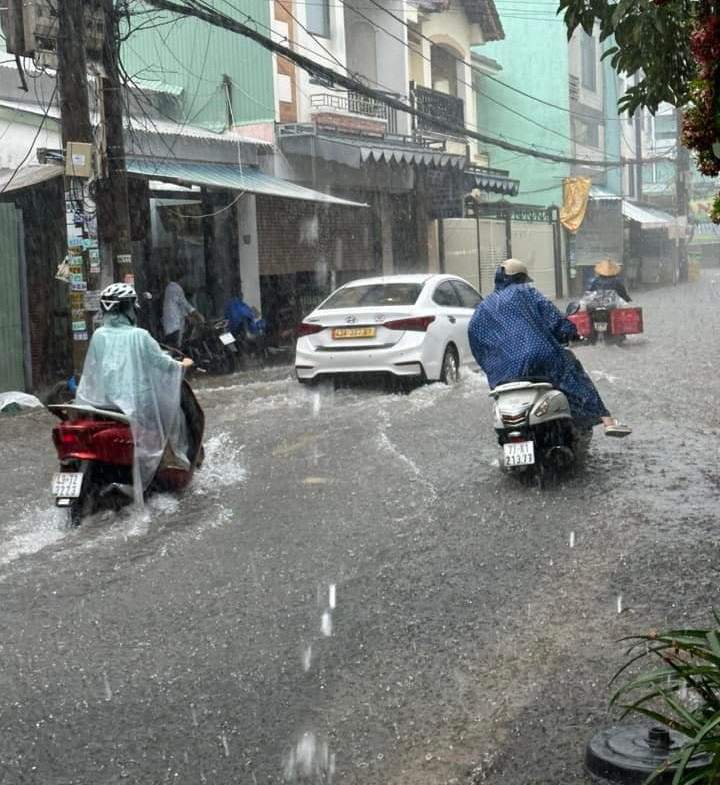 “Trong trường hợp diễn biến thời tiết còn phức tạp, kéo dài, Sở GD-ĐT sẽ có thông báo khẩn tiếp theo cho học sinh, học viên, sinh viên nghỉ học để đảm bảo an toàn”, công văn nêu.