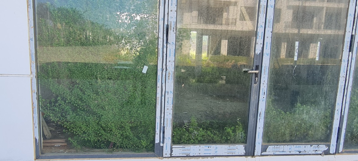 ...đến đủ loại dây leo, cỏ dại bên trong khung cửa.