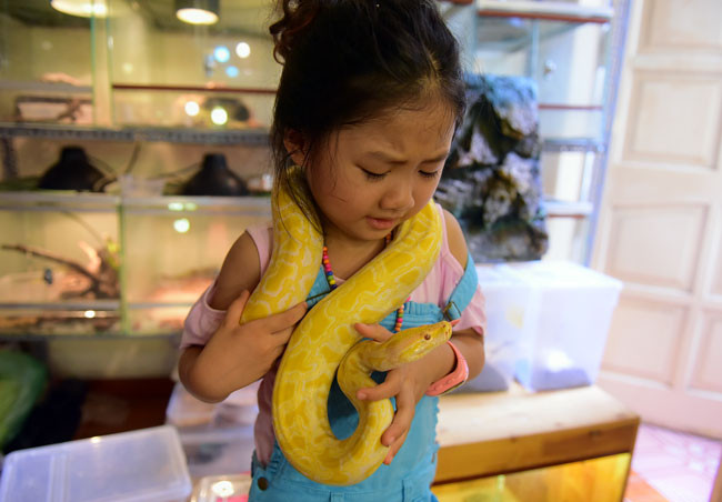 Bé Thanh luôn tỏ ra hào hứng khi được chơi đùa với những chú trăn cảnh bé nhỏ.