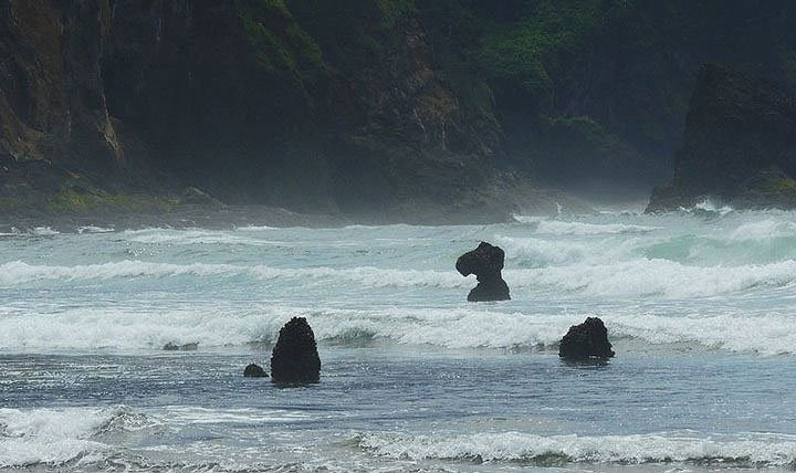 Tài liệu cũ để lại cho thấy, trong giai đoạn 1680 - 1720 xảy ra những trận động đất kèm sóng thần lớn khiến rừng cây vân sam bị chết. (Ảnh Amusing Planet).