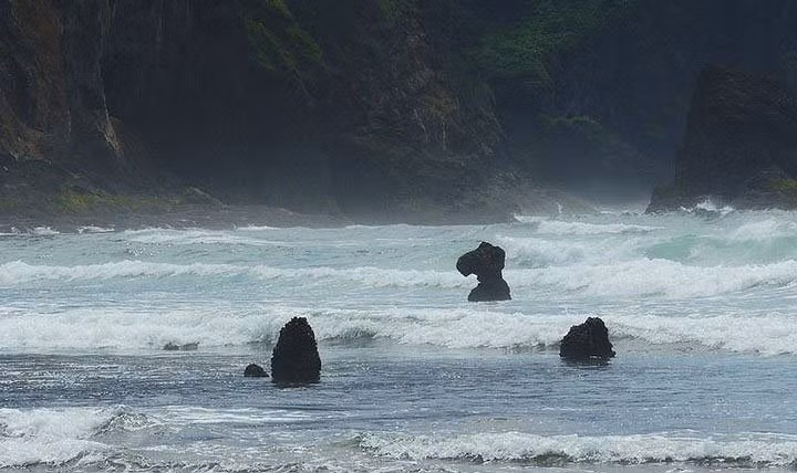 Tài liệu cũ để lại cho thấy, trong giai đoạn 1680 - 1720 xảy ra những trận động đất kèm sóng thần lớn khiến rừng cây vân sam bị chết. (Ảnh Amusing Planet).