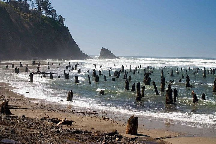 Tại thị trấn ven biển nhỏ Neskowin ở quận Tillamook, Oregon, Mỹ vẫn còn tàn tích của khu rừng vân sam cổ đại. (Ảnh Amusingplanet).