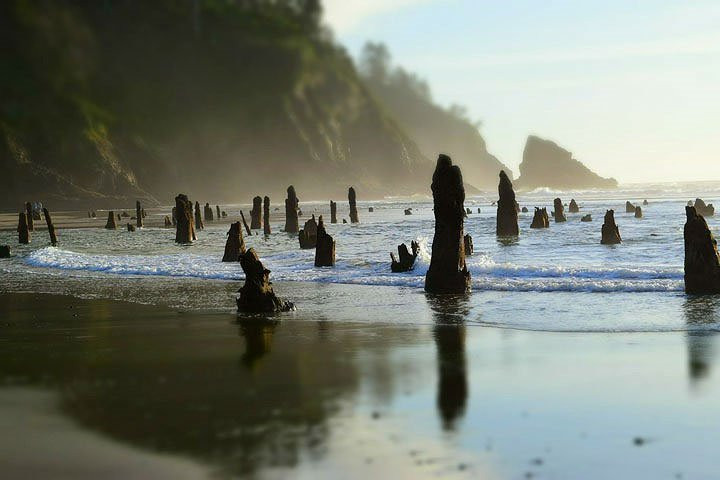 Thời điểm tốt nhất để du khách có thể chiêm ngưỡng cảnh tượng siêu thực này là khi thủy triều thấp nhất trong năm, khoảng từ tháng 1 đến tháng 3 hàng năm. (Ảnh Rebrn).