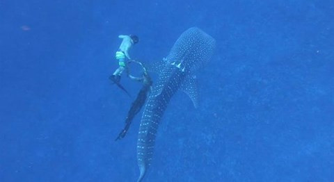 Can canh giai cuu ca map voi bi day thung that co