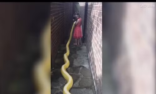 Rung minh be gai 5 tuoi than mat voi tran khong lo