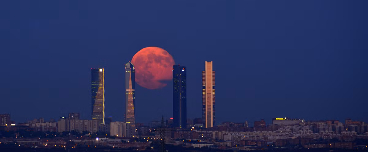 Nghệ thuật đối xứng