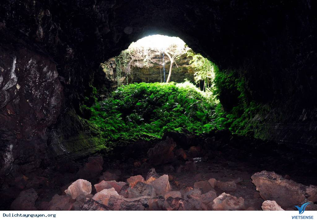 Nhận dạng của Long được thông báo công khai. Ngoài các tổ, chốt chặn dọc đường nhằm ngăn chặn Long bỏ trốn khỏi địa bàn tỉnh Sơn La, lực lượng công an còn vận động, tuyên truyền người dân tham gia tố giác tội phạm. Một thông tin được báo về, tại xã Chiềng Ly (Thuận Châu), có người nhìn thấy Long đang ẩn nấp trên một hang núi. Đây là khu vực cây cối rậm rạp, các mỏm đá cao chót vót, sắc nhọn. Việc bắt giữ đối tượng phải hết sức thận trọng bởi gã có súng. (Ảnh minh hoạ, nguồn Internet) 