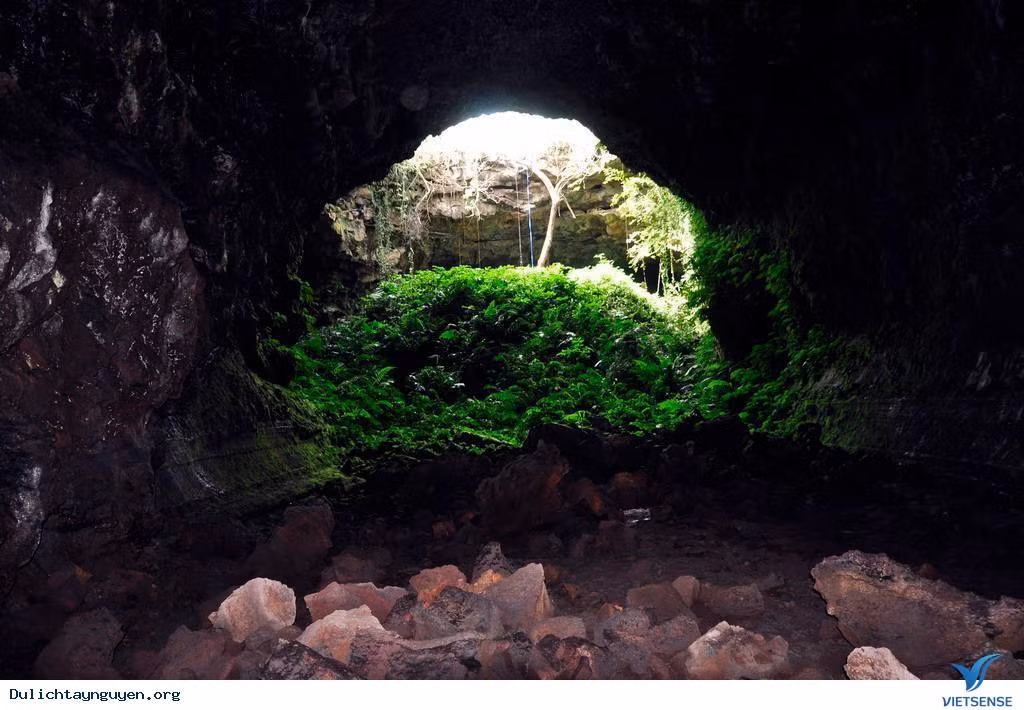 Nhận dạng của Long được thông báo công khai. Ngoài các tổ, chốt chặn dọc đường nhằm ngăn chặn Long bỏ trốn khỏi địa bàn tỉnh Sơn La, lực lượng công an còn vận động, tuyên truyền người dân tham gia tố giác tội phạm. Một thông tin được báo về, tại xã Chiềng Ly (Thuận Châu), có người nhìn thấy Long đang ẩn nấp trên một hang núi. Đây là khu vực cây cối rậm rạp, các mỏm đá cao chót vót, sắc nhọn. Việc bắt giữ đối tượng phải hết sức thận trọng bởi gã có súng. (Ảnh minh hoạ, nguồn Internet) 