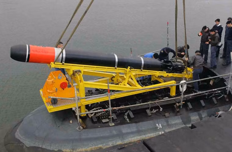 Các tàu ngầm Scorpene chủ yếu sử dụng ngư lôi hạng nặng Black Shark do Italy sản xuất. Nó được trang bị đầu tự dẫn thông minh, tầm bắn đạt tới 50km, tốc độ bơi 50 hải lý/h. Tuy nhiên, chưa có thông tin Ấn Độ sẽ mua loại ngư lôi này cho các tàu ngầm.