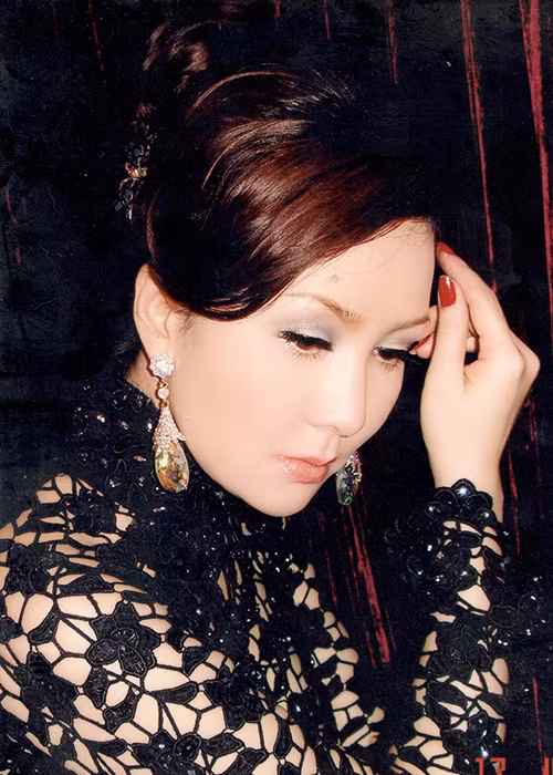 Tuy nhiên, kể từ năm 2010, Mộng Vân một lần nữa lui về ở ẩn.